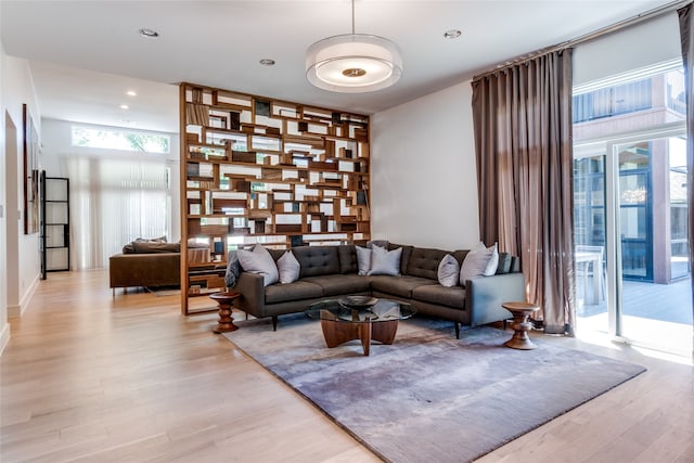 living room featuring light wood-type flooring