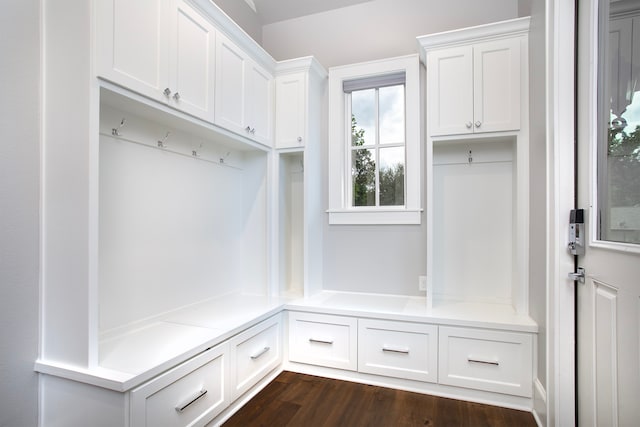 mudroom featuring dark hardwood / wood-style floors