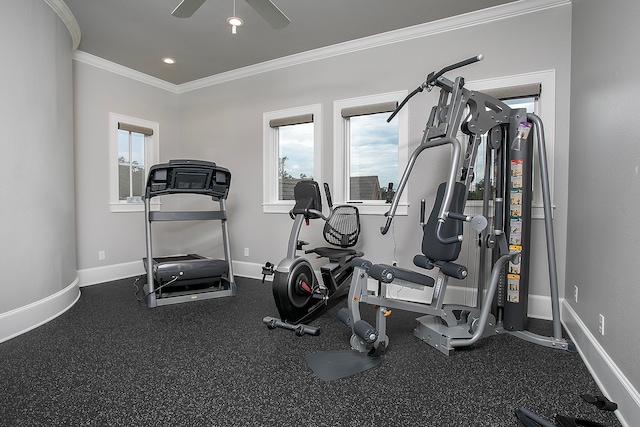 workout area with ceiling fan and crown molding