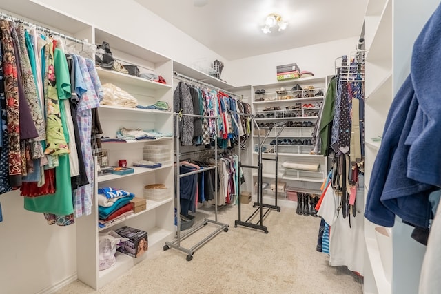 walk in closet with carpet floors