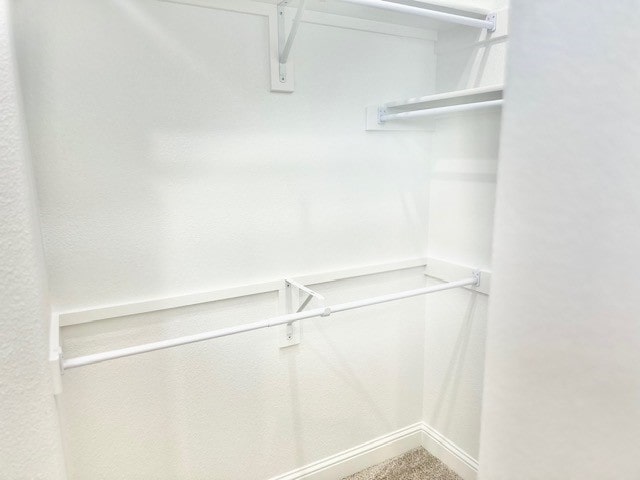 walk in closet with carpet flooring