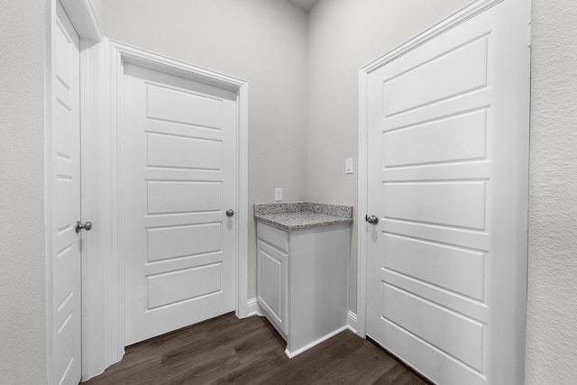 interior space featuring dark wood-type flooring