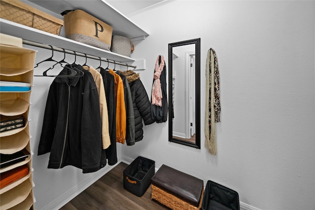 walk in closet with hardwood / wood-style flooring