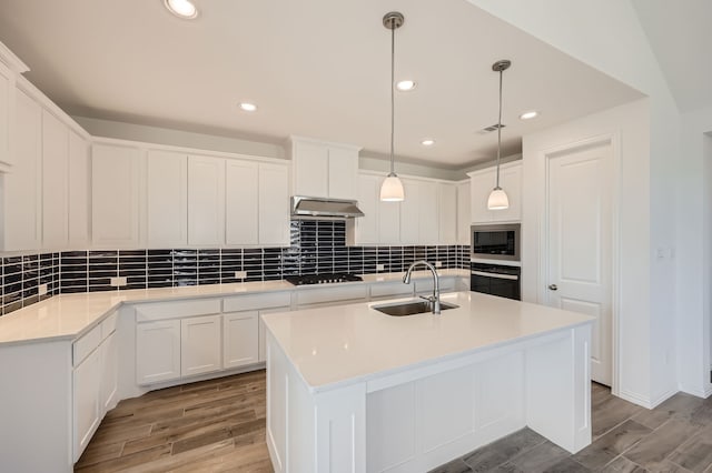 kitchen featuring exhaust hood, appliances with stainless steel finishes, white cabinetry, light hardwood / wood-style floors, and sink