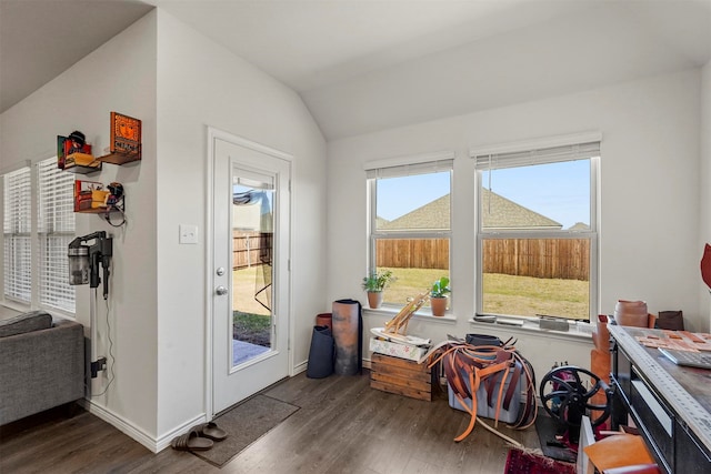 miscellaneous room with dark wood-type flooring, a wealth of natural light, and vaulted ceiling