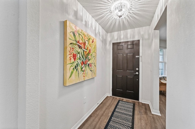 foyer entrance with dark hardwood / wood-style flooring