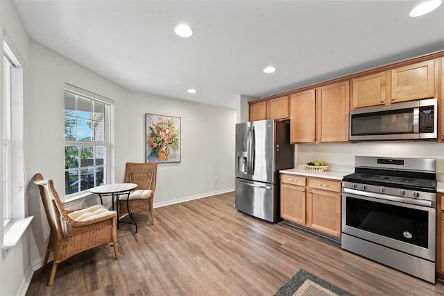 kitchen featuring stainless steel appliances and wood-type flooring