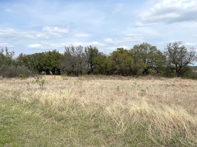 Listing photo 3 for TBD479 Anchors Away, Brownwood TX 76801