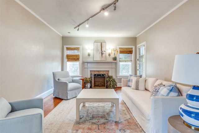 living room featuring track lighting, ornamental molding, and light hardwood / wood-style flooring