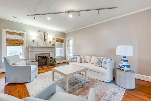 living room featuring ornamental molding, track lighting, and wood-type flooring