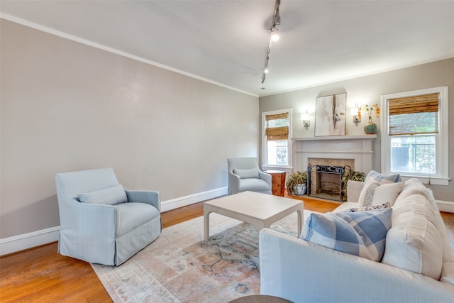 living room with hardwood / wood-style floors, a wealth of natural light, and rail lighting