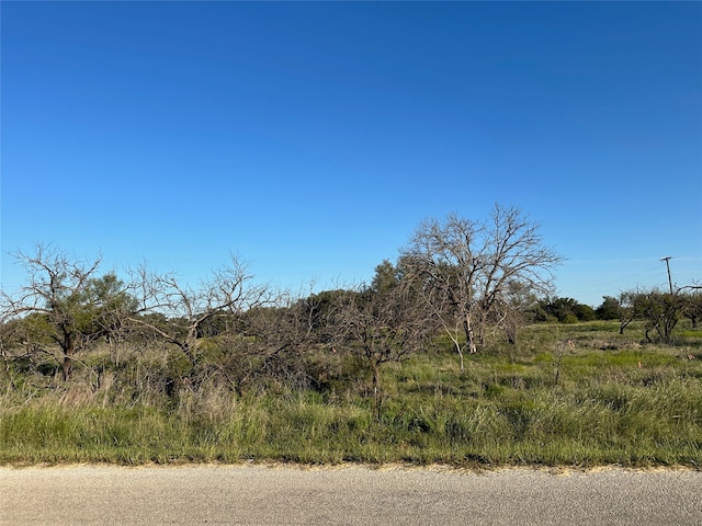 Listing photo 2 for TBD659 Safe Harbor Dr, Brownwood TX 76801