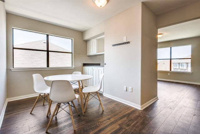 dining area featuring a wealth of natural light and dark wood-type flooring