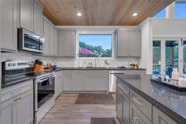 kitchen featuring a healthy amount of sunlight, stainless steel appliances, and sink