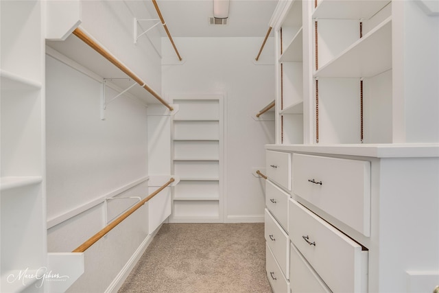 spacious closet with light colored carpet