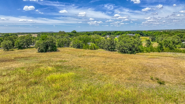 view of local wilderness with a rural view