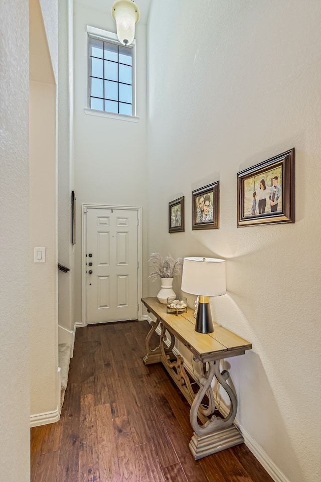 foyer with dark hardwood / wood-style flooring