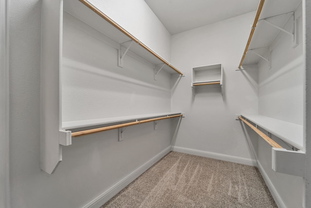 walk in closet with carpet floors