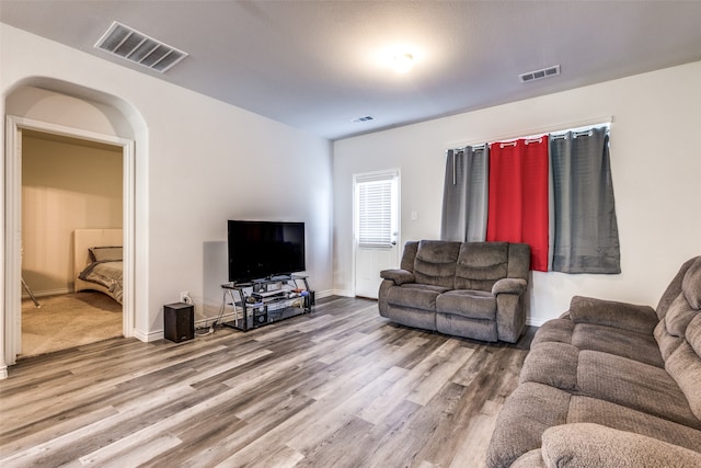 living room featuring wood-type flooring