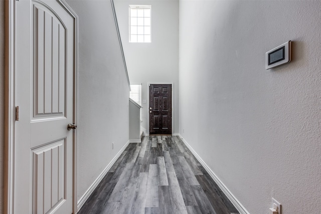 hallway with dark hardwood / wood-style floors