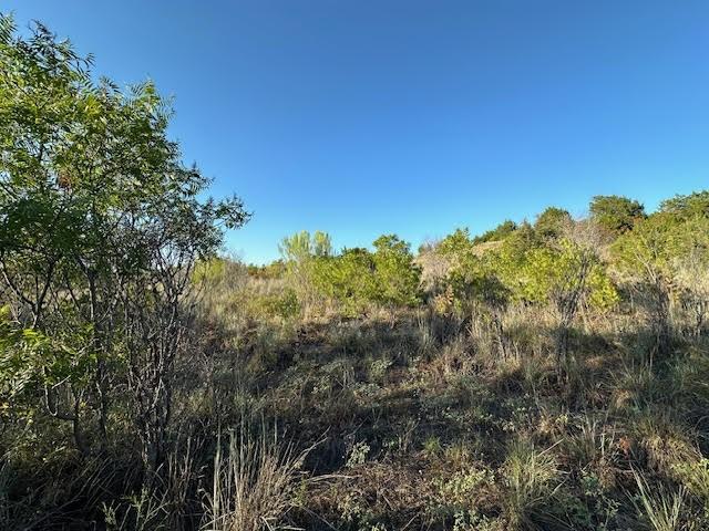 LOT648 Canyon Wren Loop, Possum Kingdom Lake, TX 76449