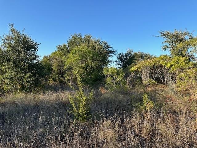 LOT648 Canyon Wren Loop, Possum Kingdom Lake, TX 76449