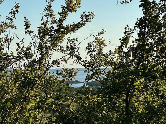 LOT648 Canyon Wren Loop, Possum Kingdom Lake, TX 76449