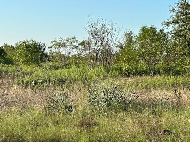 LOT648 Canyon Wren Loop, Possum Kingdom Lake, TX 76449