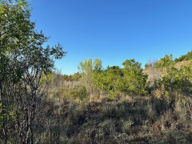 LOT648 Canyon Wren Loop, Possum Kingdom Lake, TX 76449