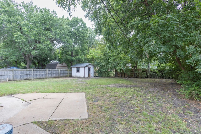 view of yard featuring a patio area and a shed