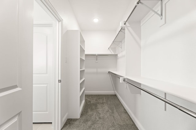 walk in closet with carpet floors