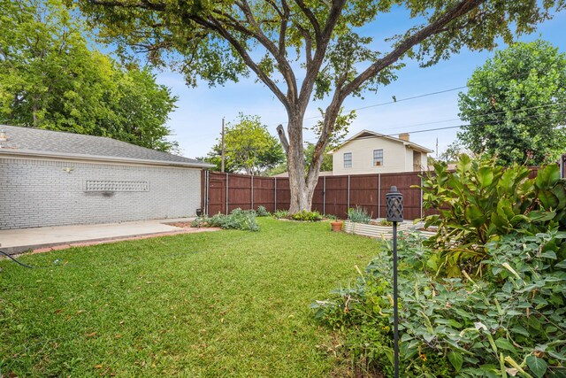 view of yard featuring a patio area