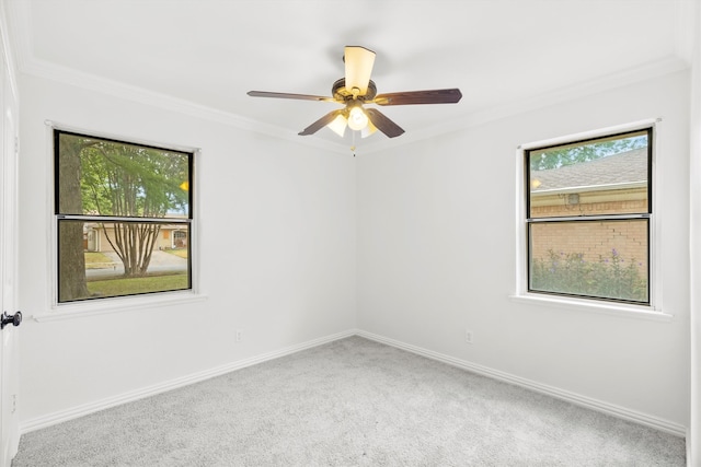 carpeted spare room with ceiling fan and ornamental molding