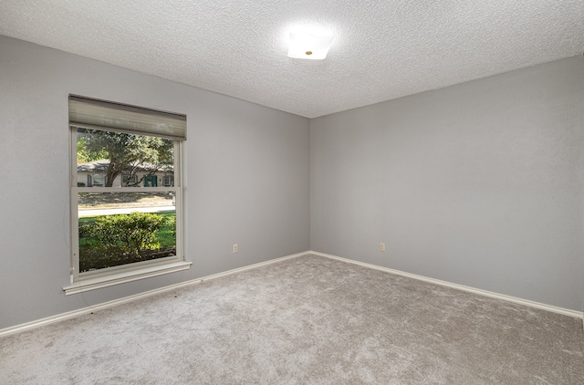 unfurnished room with carpet and a textured ceiling