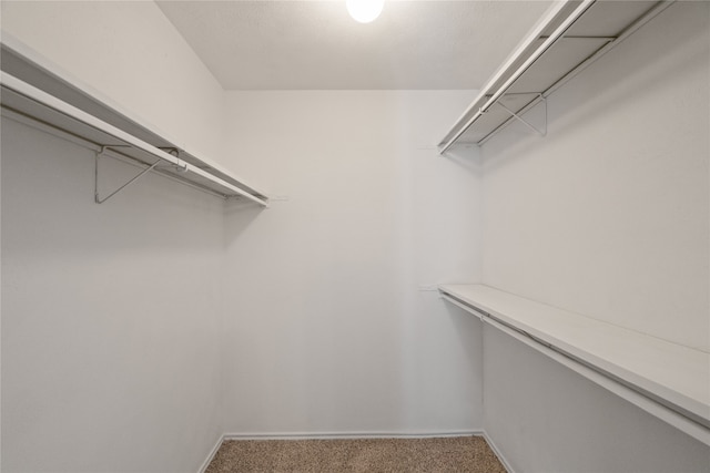 walk in closet featuring carpet