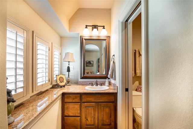 bathroom with vanity, toilet, and lofted ceiling