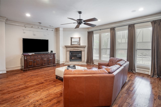 living room featuring crown molding, dark wood-type flooring, and ceiling fan