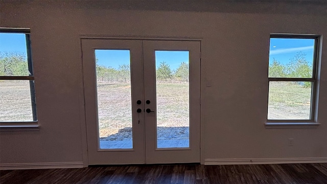 entryway featuring plenty of natural light, french doors, and dark hardwood / wood-style flooring