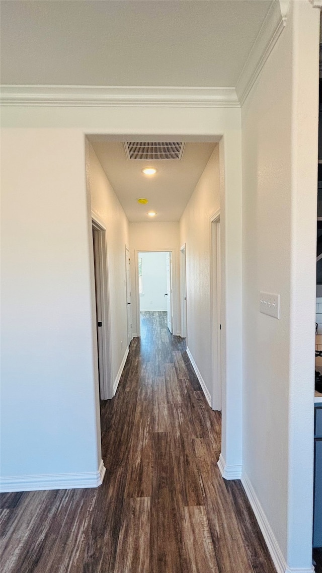 corridor featuring ornamental molding and dark wood-type flooring