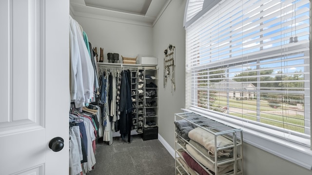 spacious closet featuring carpet