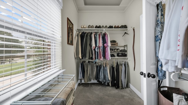 spacious closet featuring carpet