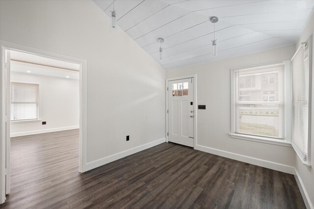 foyer featuring lofted ceiling, a healthy amount of sunlight, and dark wood-type flooring