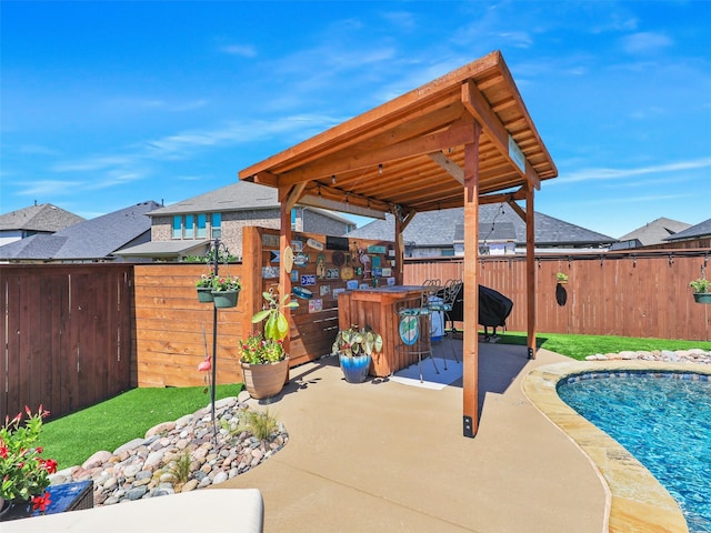 view of swimming pool with a patio