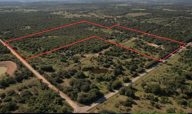 12815 Fm 207, Ranger TX, 76470 land for sale