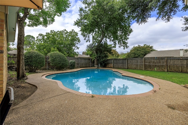 view of pool featuring a patio