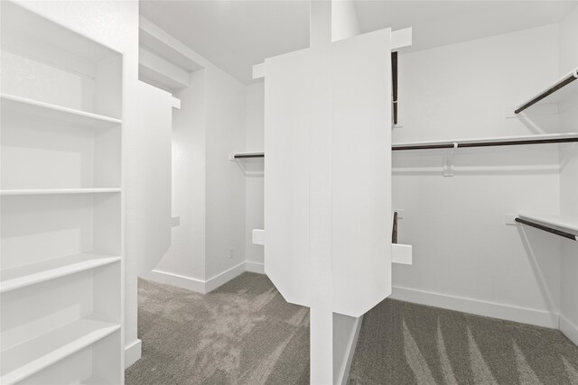 walk in closet with dark carpet