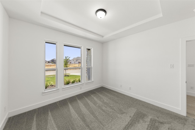 empty room with carpet floors and a raised ceiling