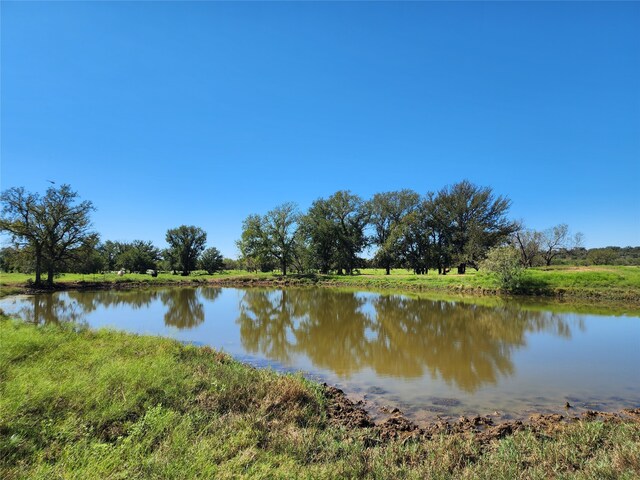 TBD Fm 1176 S, Santa Anna TX, 76878 land for sale