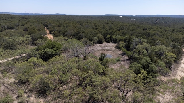 Listing photo 3 for 00 Mountain Top Loop, Graham TX 76450