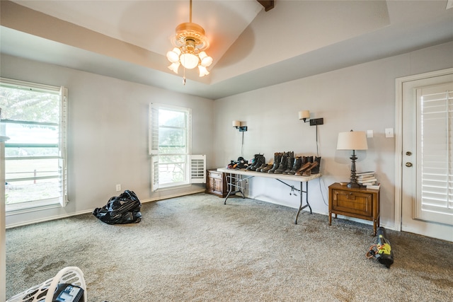 misc room with a tray ceiling, ceiling fan, and carpet